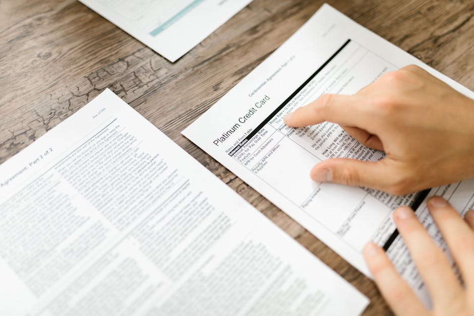 best landlord credit check service