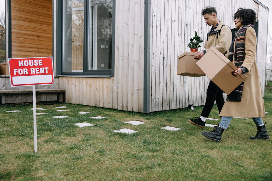 rental property tenant screening